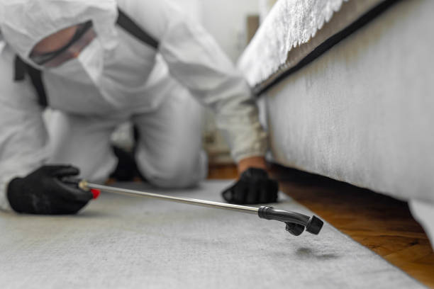 Professional Bed Bug Control technician working in Las Lomas, CA