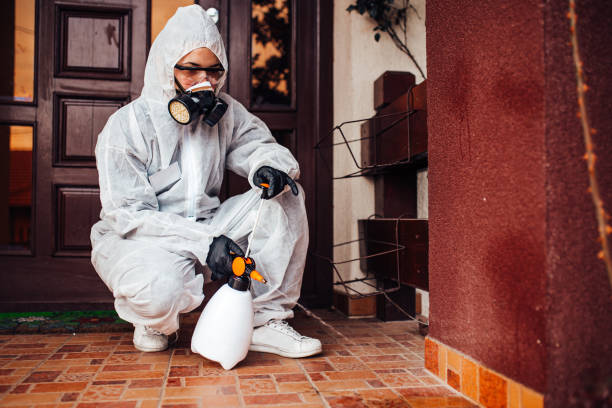 Reliable Bed Bug Control contractor in Las Lomas, CA by Nex Pest Control